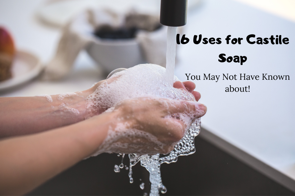 16 Uses for Castile Soap You May Not Have Known About | Lowtox Made ...